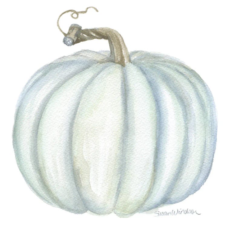 Gray Teal Pumpkin