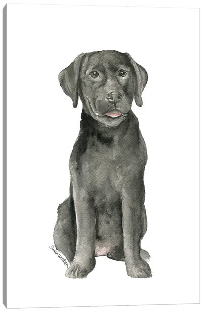 Black Lab Puppy Canvas Art Print - Susan Windsor