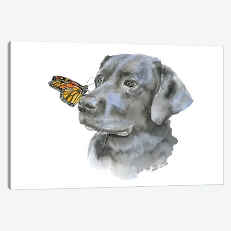 Black Lab With A Monarch Butterfly Canvas Print #SWO75} by Susan Windsor Canvas Art