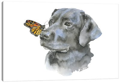 Black Lab With A Monarch Butterfly Canvas Art Print - Susan Windsor