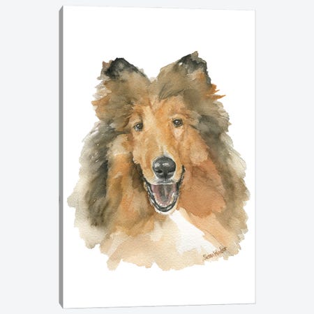 Collie Dog Canvas Print #SWO76} by Susan Windsor Canvas Artwork