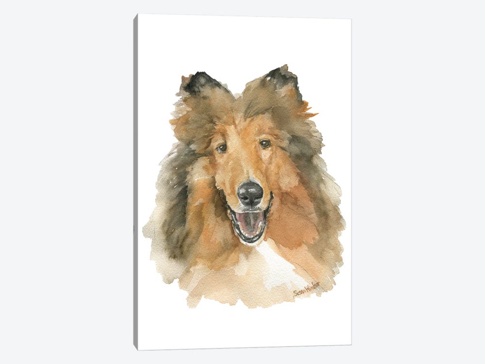 Collie Dog by Susan Windsor 1-piece Canvas Art Print