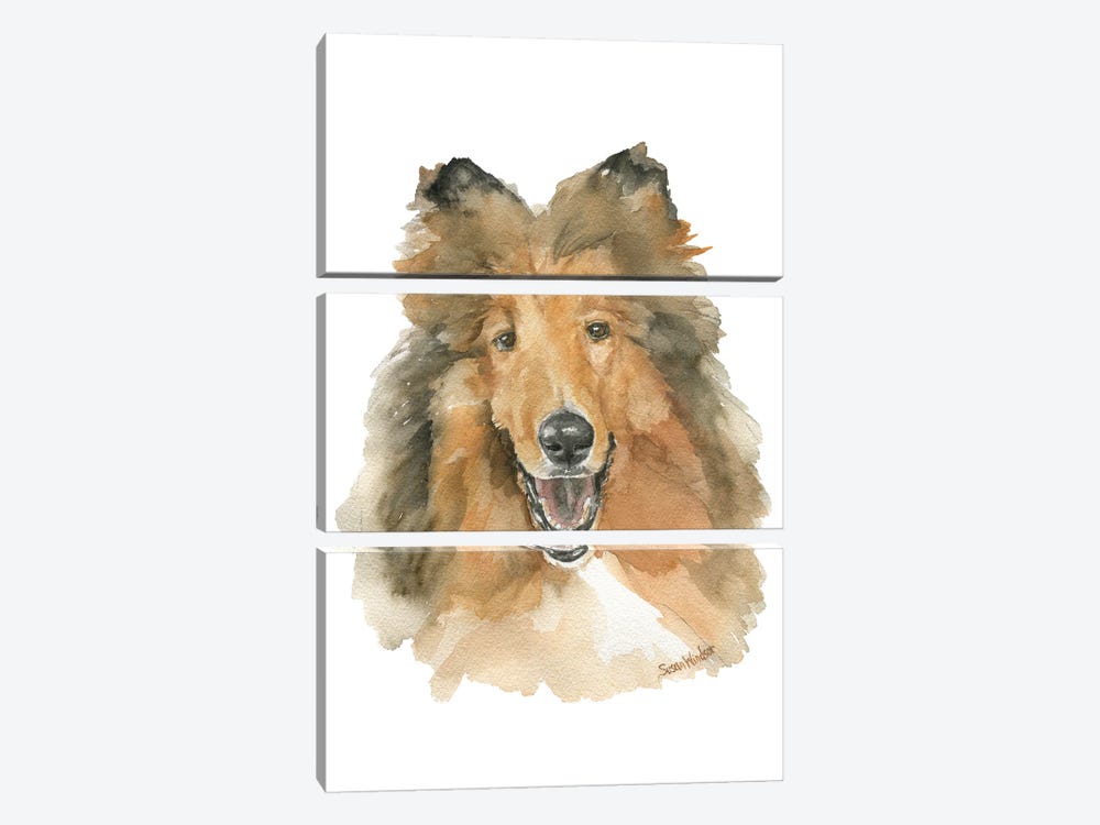 Collie Dog by Susan Windsor 3-piece Canvas Print