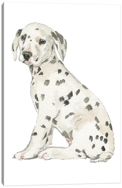 Dalmatian Puppy Canvas Art Print - Dalmatian Art