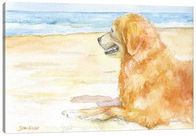 Golden Retriever On The Beach Canvas Art Print - Golden Retriever Art