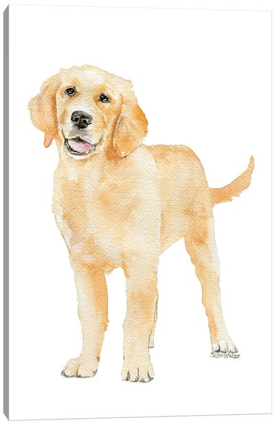 Golden Retriever Puppy Standing Canvas Art Print - Golden Retriever Art