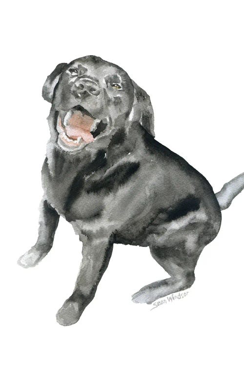 Happy Black Labrador