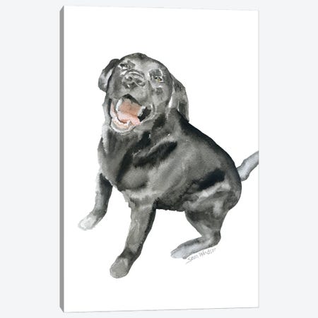 Happy Black Labrador Canvas Print #SWO81} by Susan Windsor Canvas Wall Art
