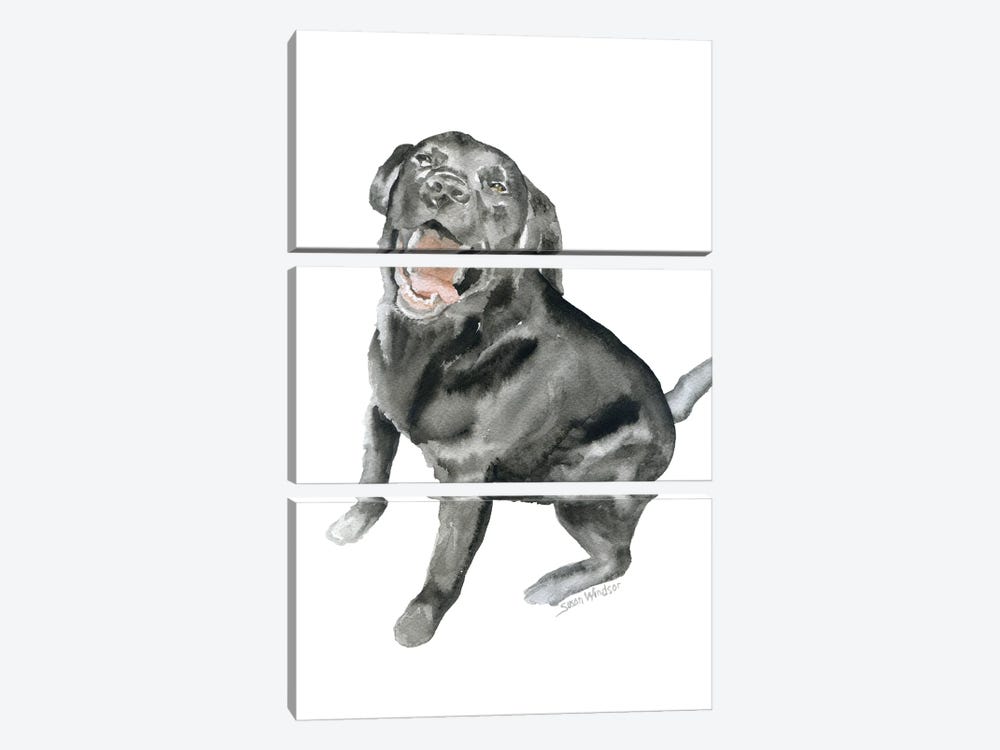 Happy Black Labrador by Susan Windsor 3-piece Art Print