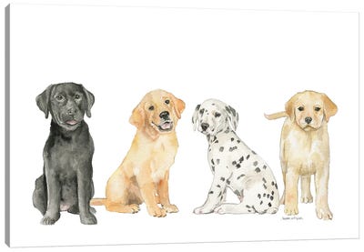 Cute Puppy Lineup Canvas Art Print - Puppy Art