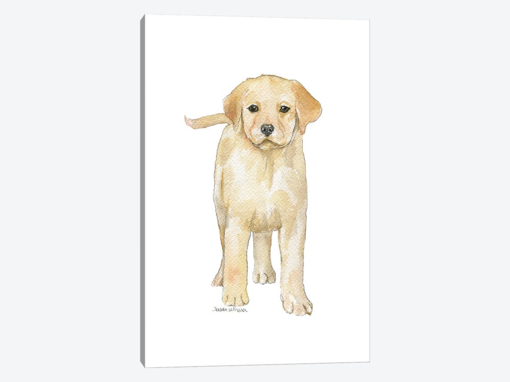 Yellow Labrador Puppy by Susan Windsor 1-piece Canvas Print