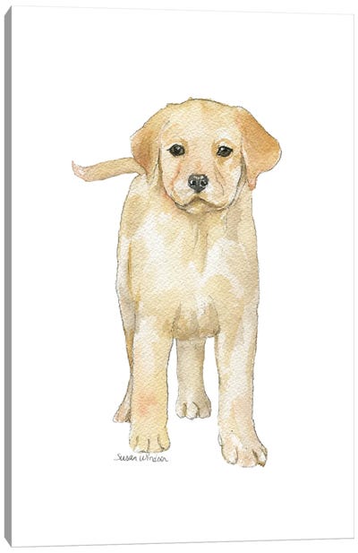 Yellow Labrador Puppy Canvas Art Print - Golden Retriever Art