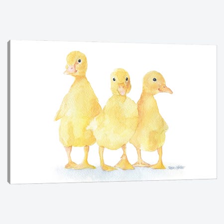 Three Baby Ducklings Canvas Print #SWO84} by Susan Windsor Canvas Art Print