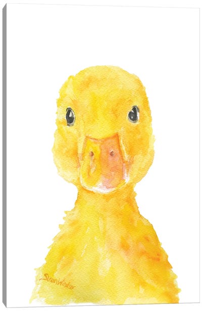 Duckling Face Canvas Art Print - Duck Art