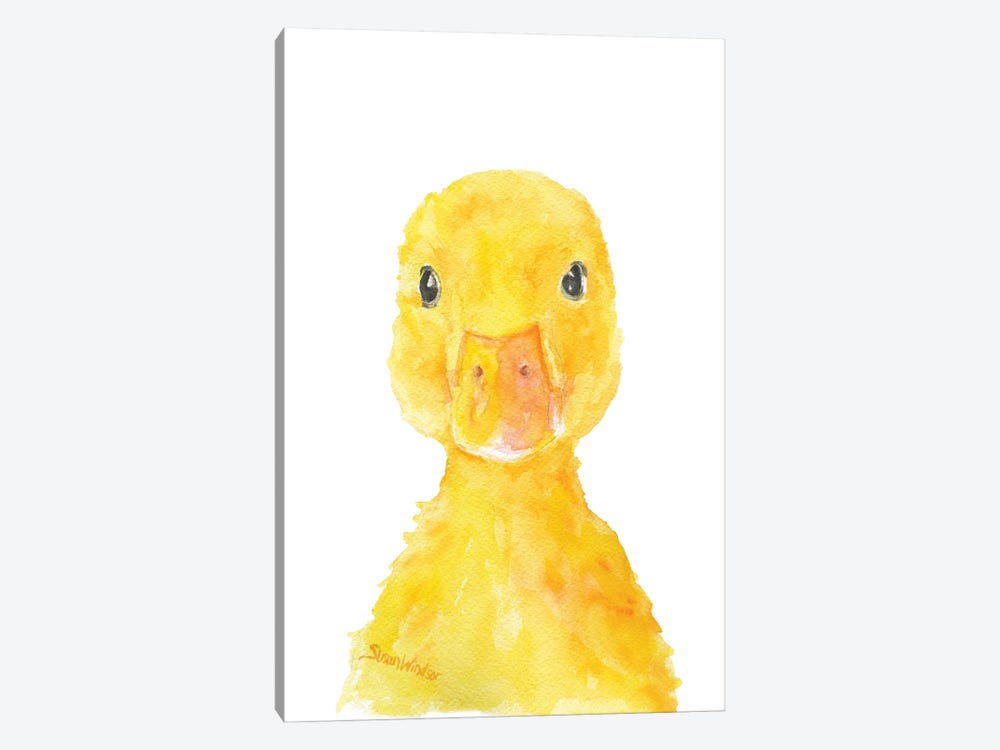 Duckling Face by Susan Windsor 1-piece Canvas Print