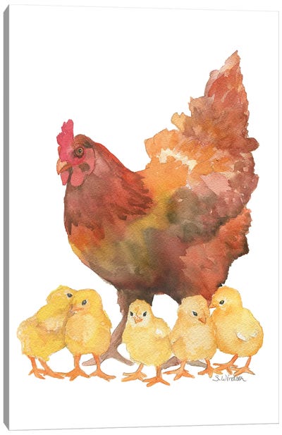 Hen And Chicks Canvas Art Print - Susan Windsor