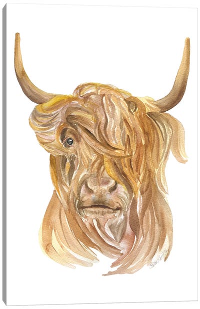 Highland Cow Canvas Art Print - Susan Windsor