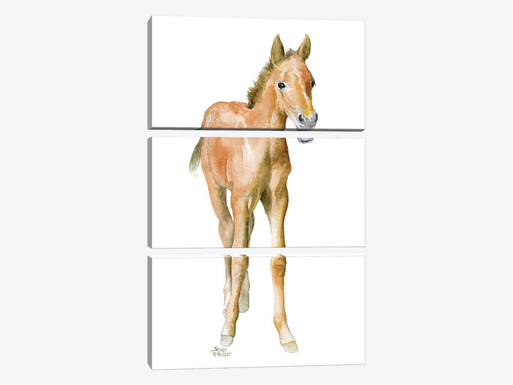 Horse Foal by Susan Windsor 3-piece Canvas Artwork
