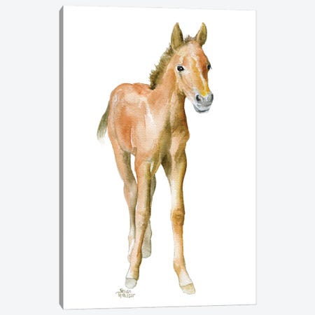 Horse Foal Canvas Print #SWO88} by Susan Windsor Canvas Wall Art
