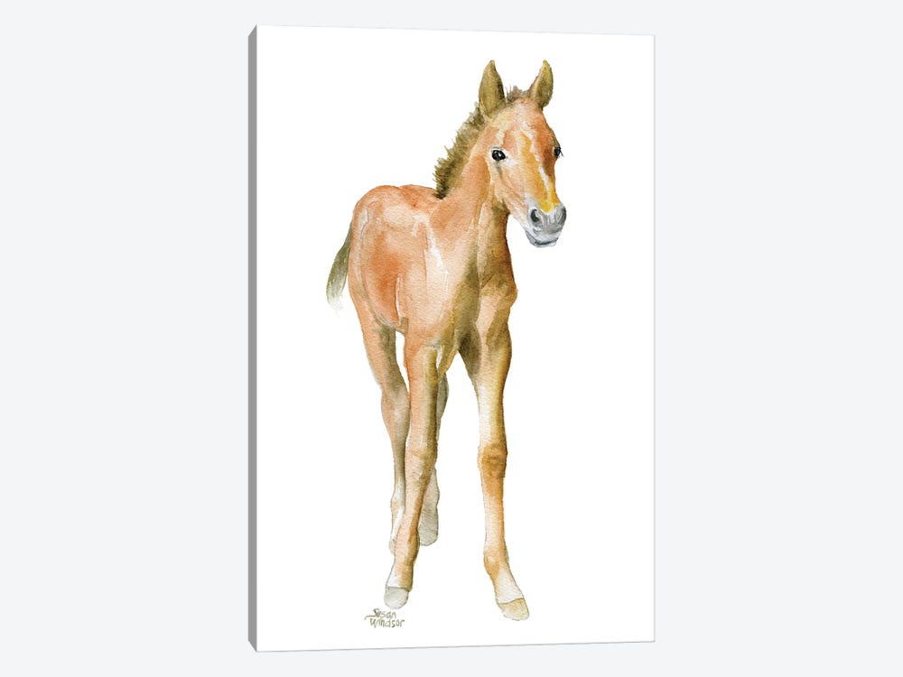 Horse Foal by Susan Windsor 1-piece Canvas Art