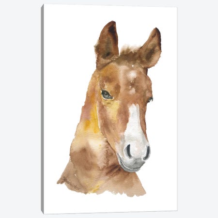 Horse Face Canvas Print #SWO89} by Susan Windsor Canvas Art