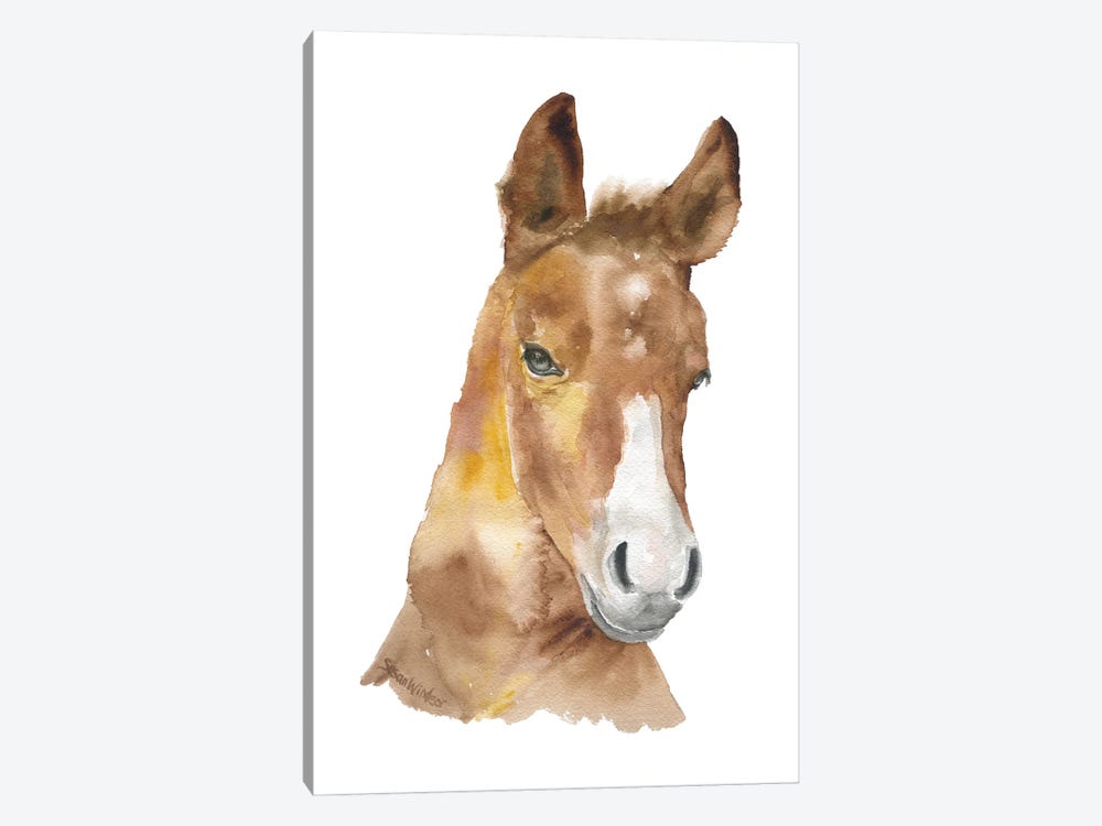 Horse Face by Susan Windsor 1-piece Canvas Art Print