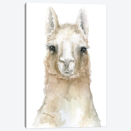 Llama Face Canvas Print #SWO90} by Susan Windsor Canvas Art Print