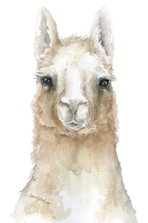 Llama Face