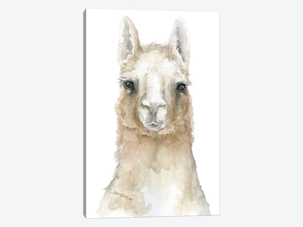 Llama Face by Susan Windsor 1-piece Canvas Art Print