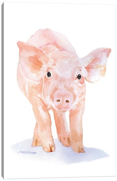 Piglet I Canvas Art Print - Pig Art