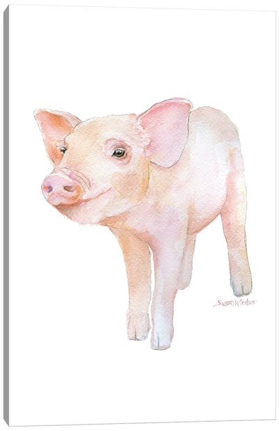 Piglet II Canvas Art Print - Susan Windsor