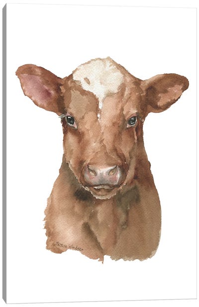 Shorthorn Calf Canvas Art Print - Susan Windsor