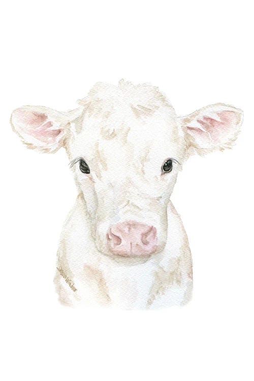 White Calf