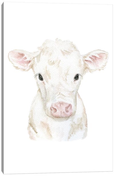White Calf Canvas Art Print - Susan Windsor