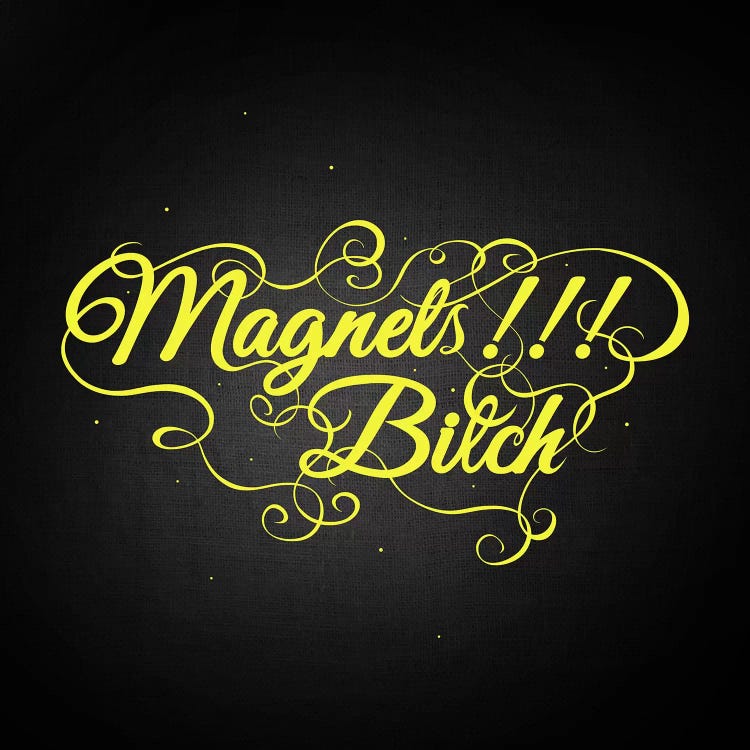 Magnets Bitch II by 5by5collective wall art