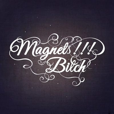 Magnets Bitch III by 5by5collective framed canvas print