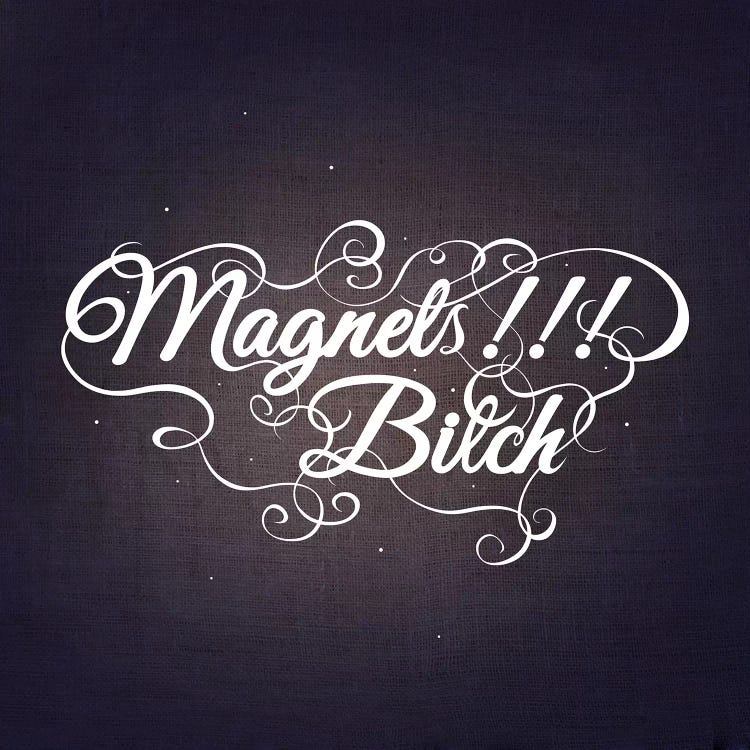 Magnets Bitch III by 5by5collective wall art