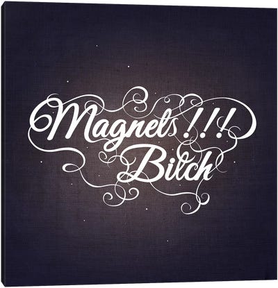 Magnets Bitch III Canvas Art Print - Swirly Sayings