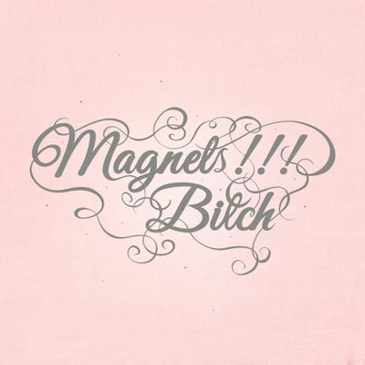 Magnets!!! Bitch by 5by5collective framed canvas print