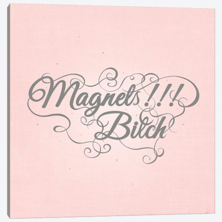 Magnets!!! Bitch Canvas Print #SWS33} by 5by5collective Canvas Art Print