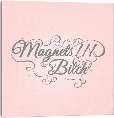 Magnets!!! Bitch Canvas Art Print - Swirly Sayings