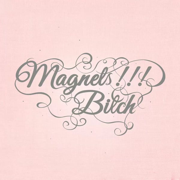Magnets!!! Bitch