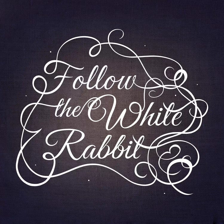 Follow the White Rabbit