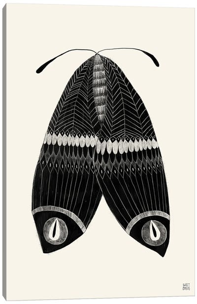 Moth Canvas Art Print - Black & White Patterns