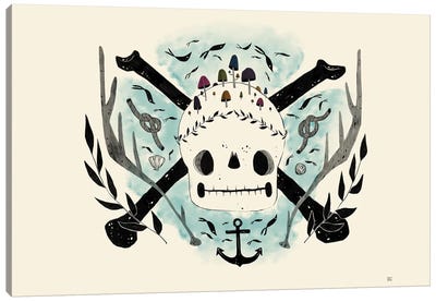 Pirate F Lag Canvas Art Print - Mushroom Art