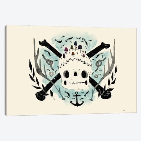 Pirate F Lag Canvas Print #SWZ58} by Sweet Omens Canvas Artwork