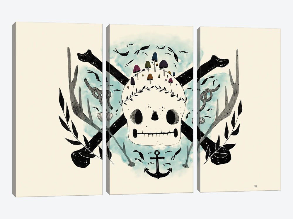 Pirate F Lag by Sweet Omens 3-piece Canvas Artwork