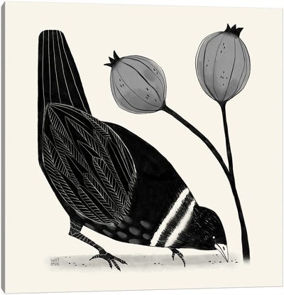 Bird And Seeds Canvas Art Print - Sweet Omens