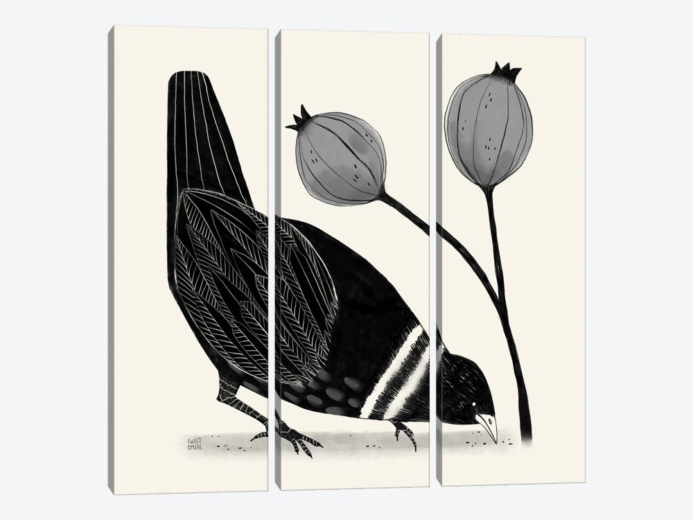 Bird And Seeds by Sweet Omens 3-piece Canvas Art