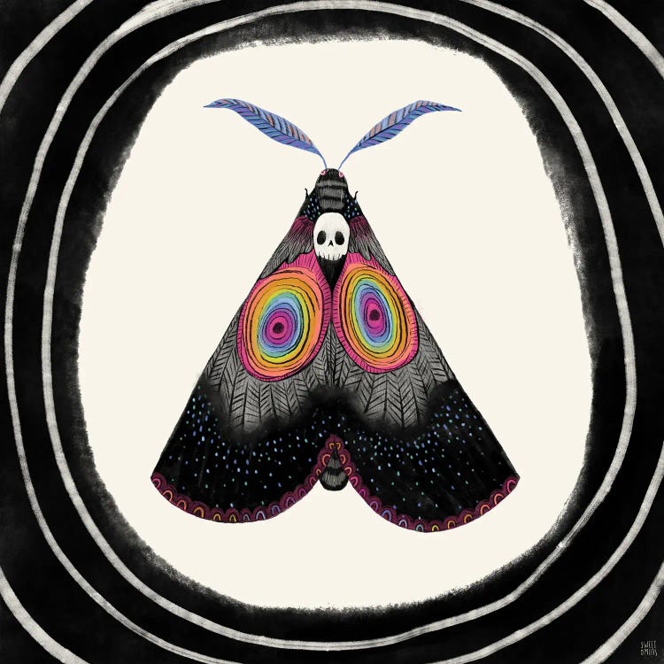 Rainbow Skull Moth